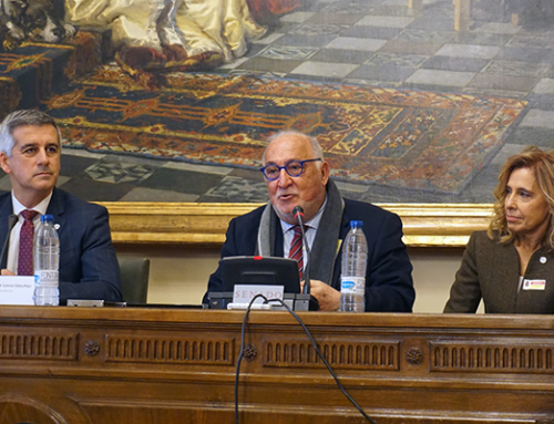 CNAE subraya en el Senado que la formación vial es esencial para frenar la siniestralidad