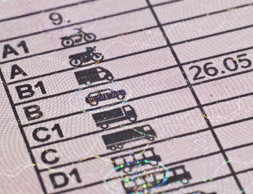 CNAE gestiona los cursos de recuperación de puntos y permiso de conducir