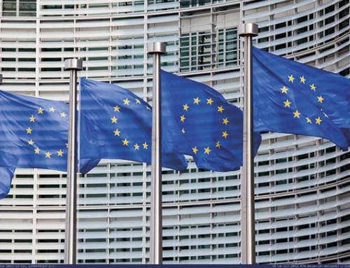 CNAE traslada las propuestas sobre la directiva para el permiso de conducir al Parlamento Europeo